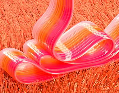 Түнде жанатын өсімдік